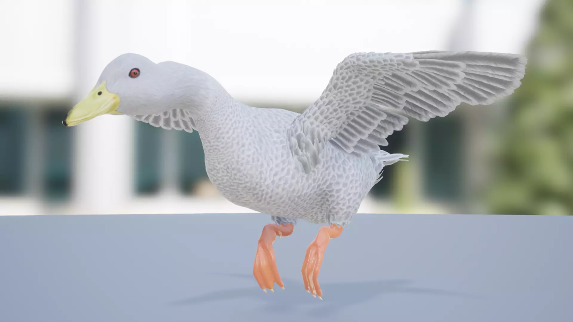 Duck Basic Low-poly 3D model_7