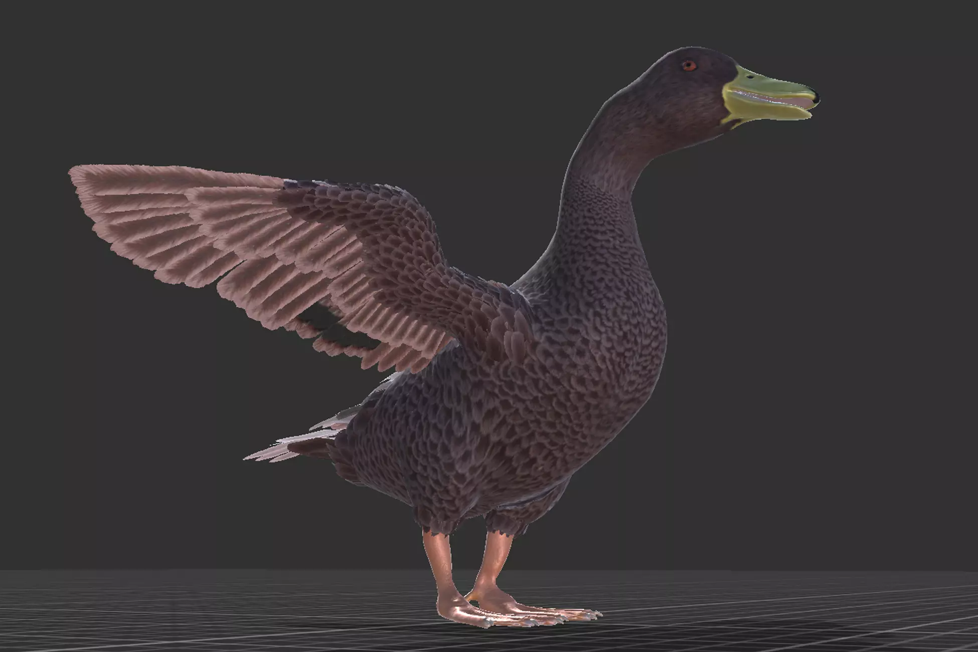 Duck Basic Low-poly 3D model_11