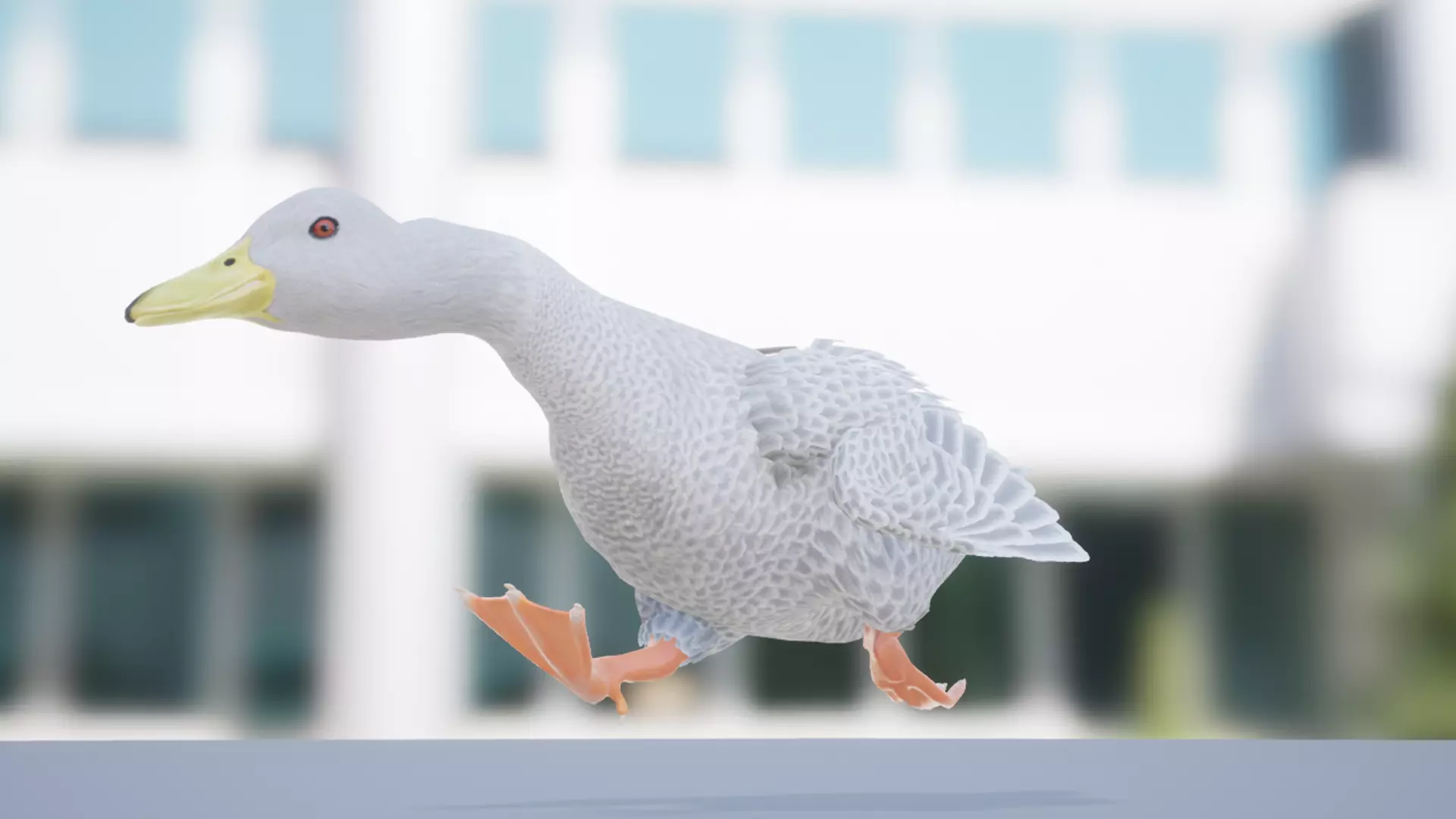 Duck Basic Low-poly 3D model_6