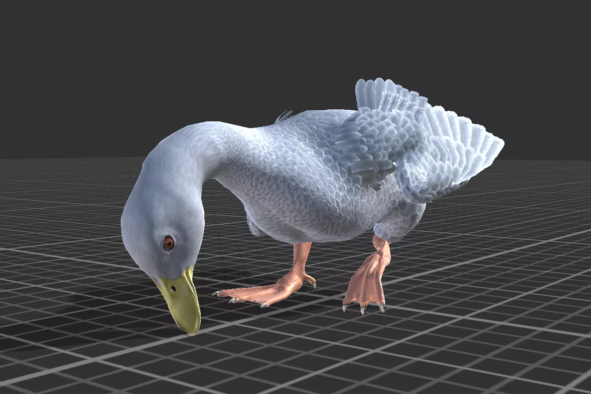 Duck Basic Low-poly 3D model_12