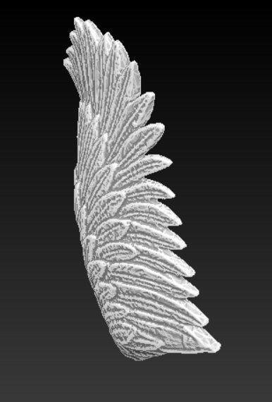 bird angel wing 3D print model_2