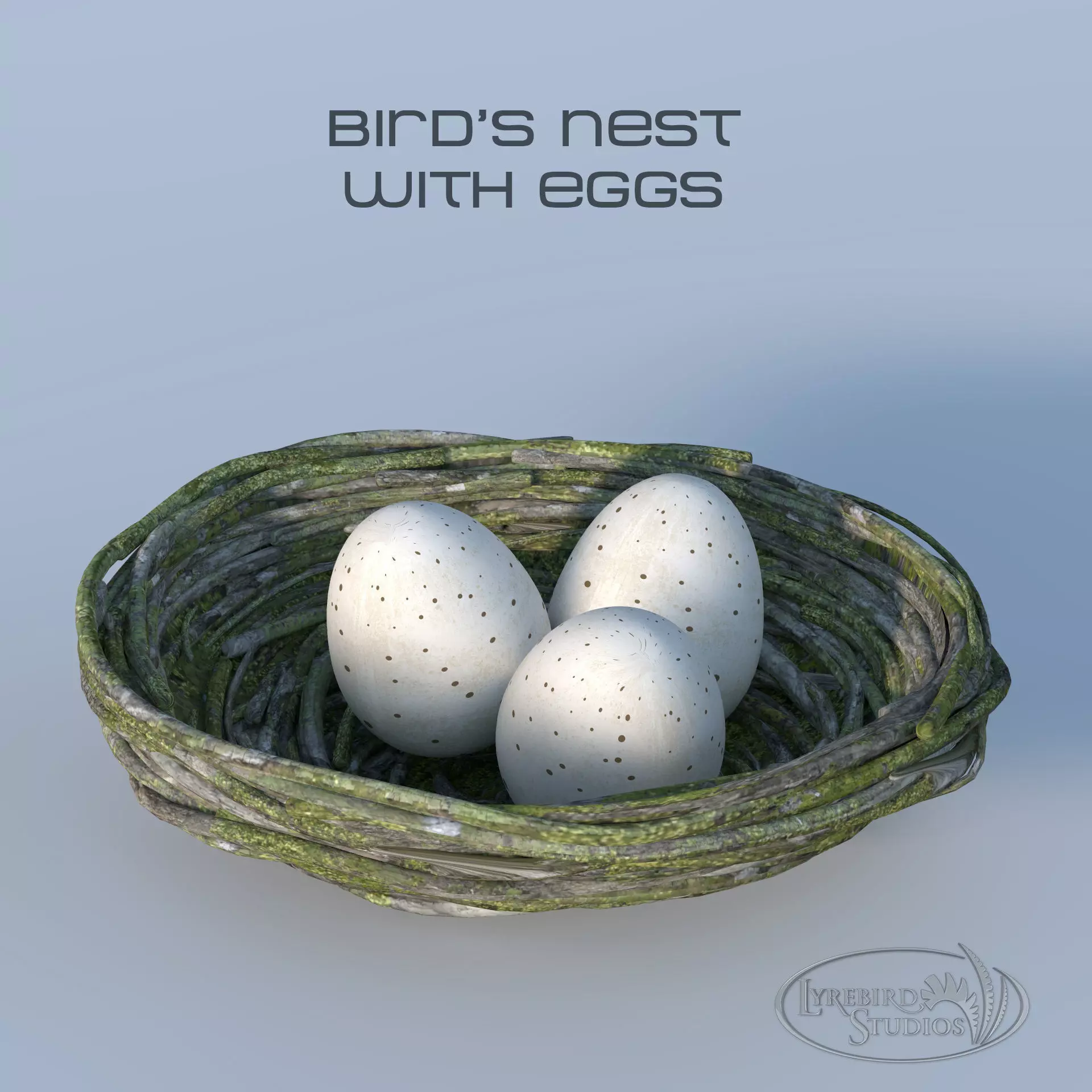 Bird Nest 3D model