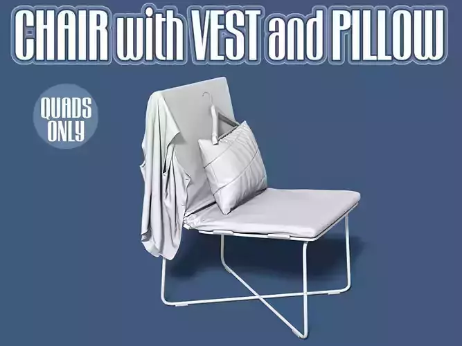 Chair with vest and pillow