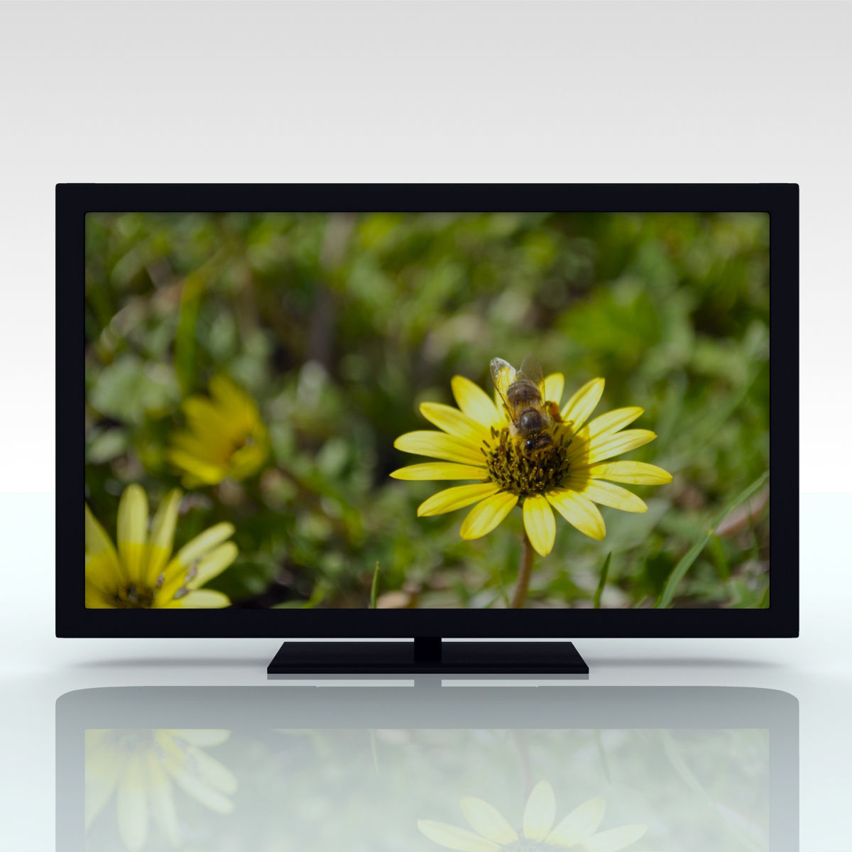 LCD screen monitor 3D model_2