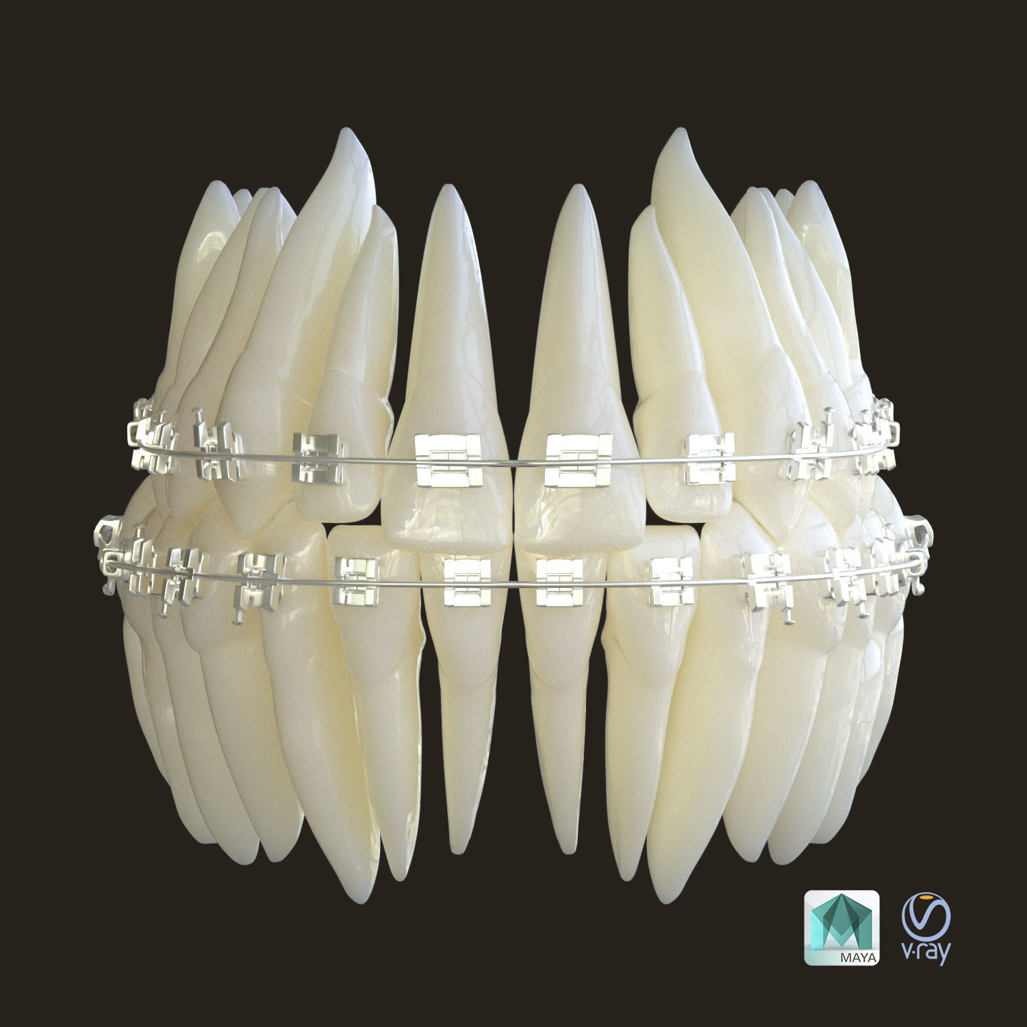 Teeth 3D model_13
