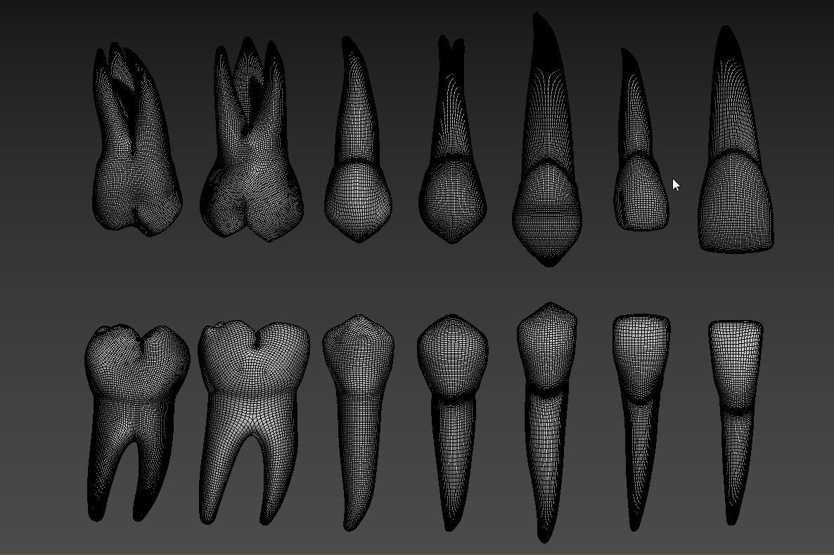 Teeth 3D model_20