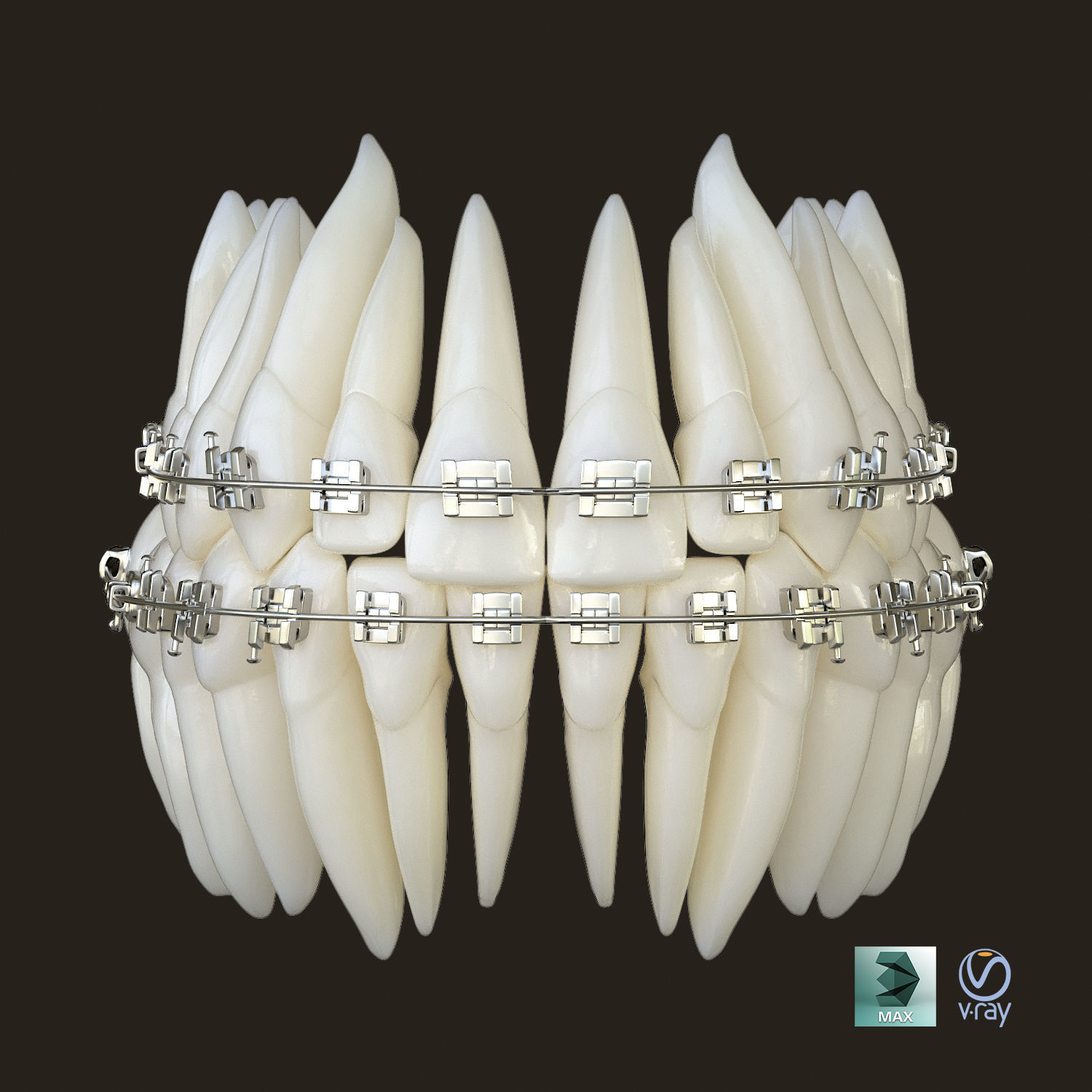 Teeth 3D model_3