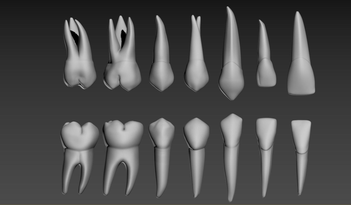 Teeth 3D model_18