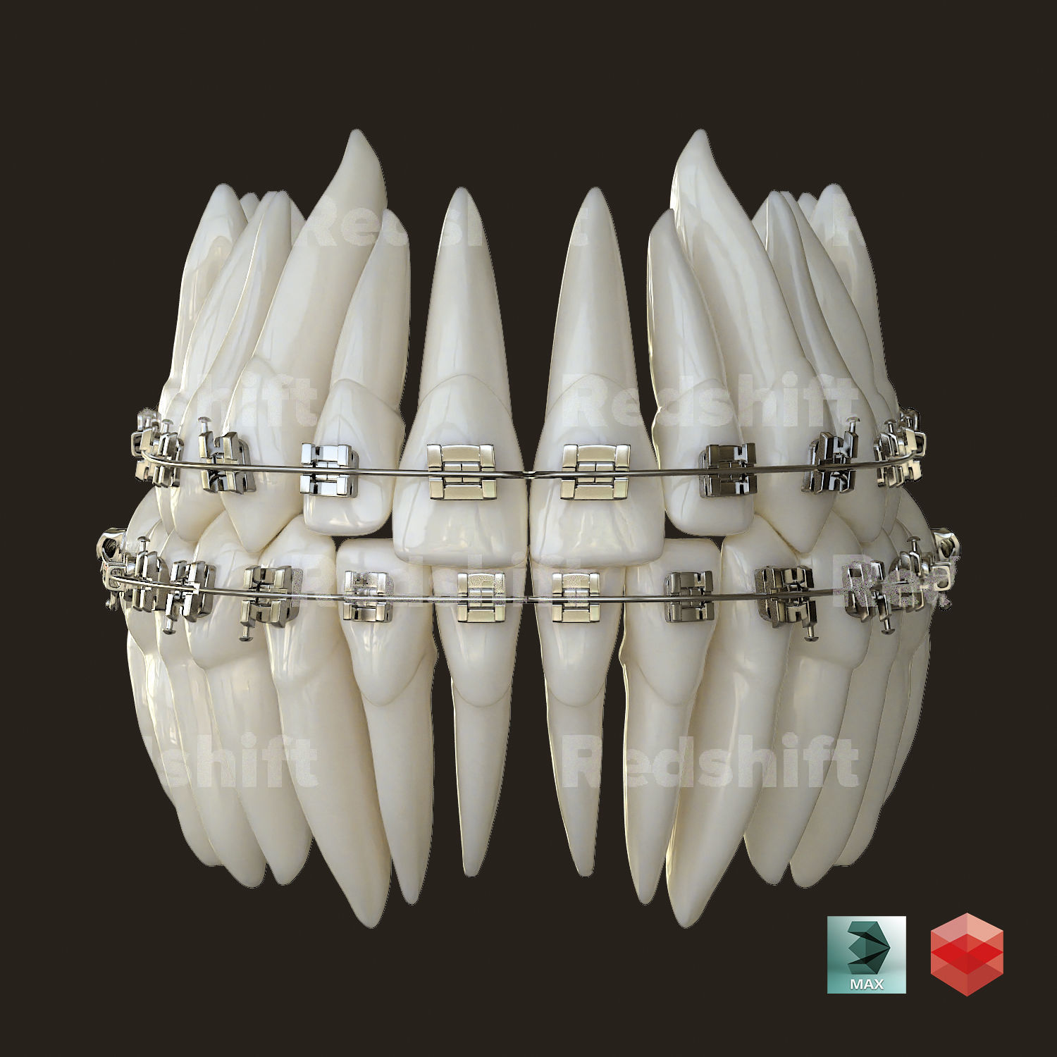 Teeth 3D model_8