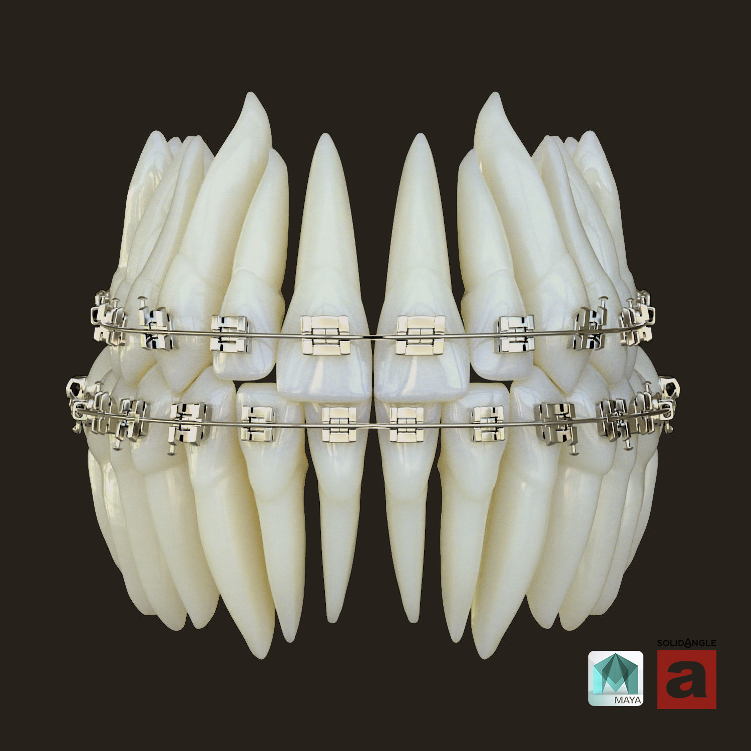Teeth 3D model_12