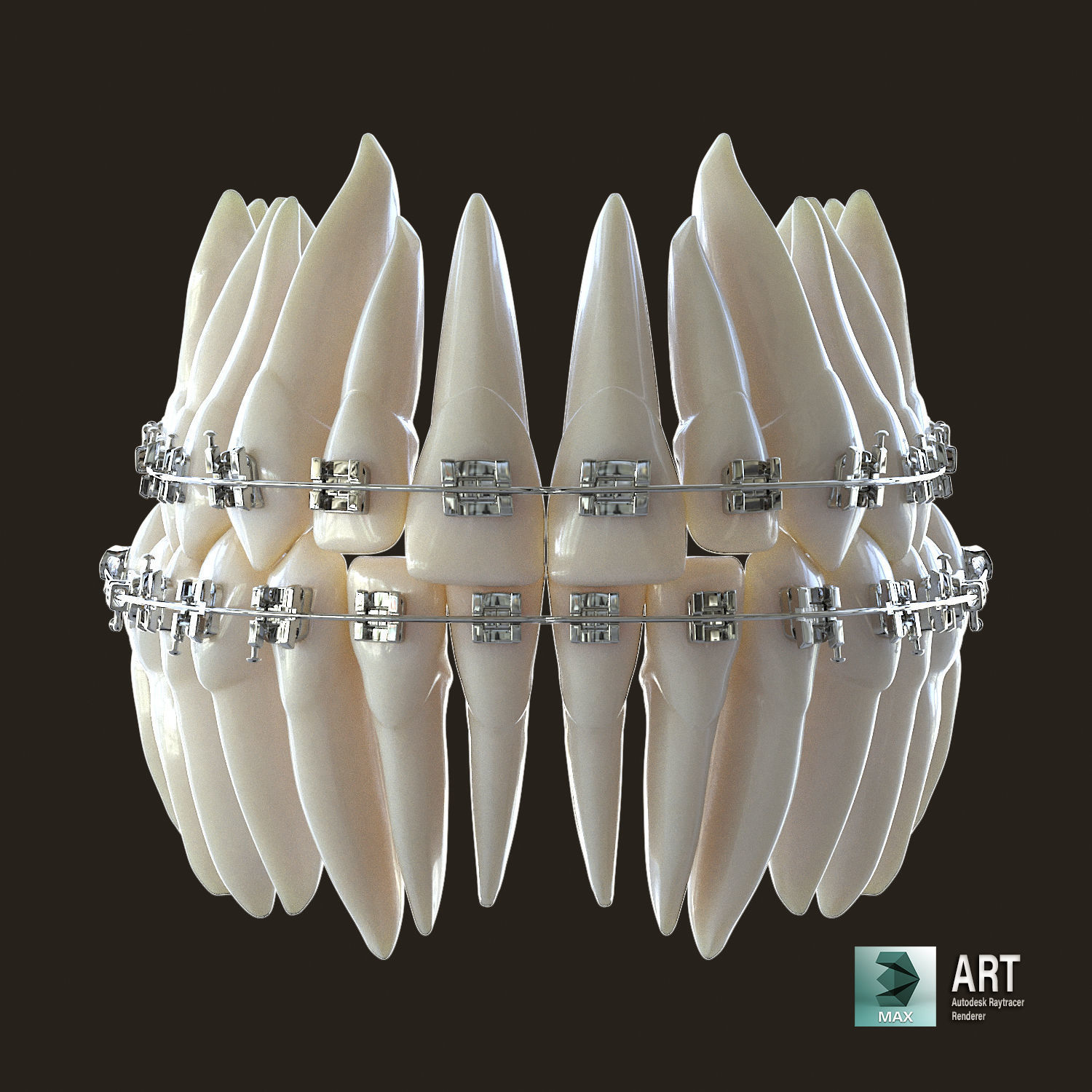 Teeth 3D model_10