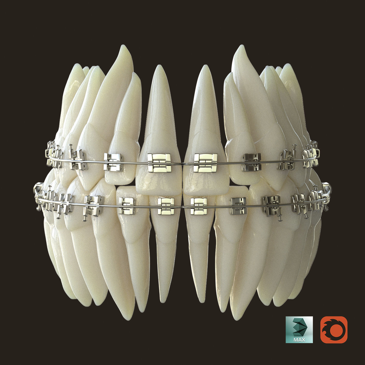 Teeth 3D model_9
