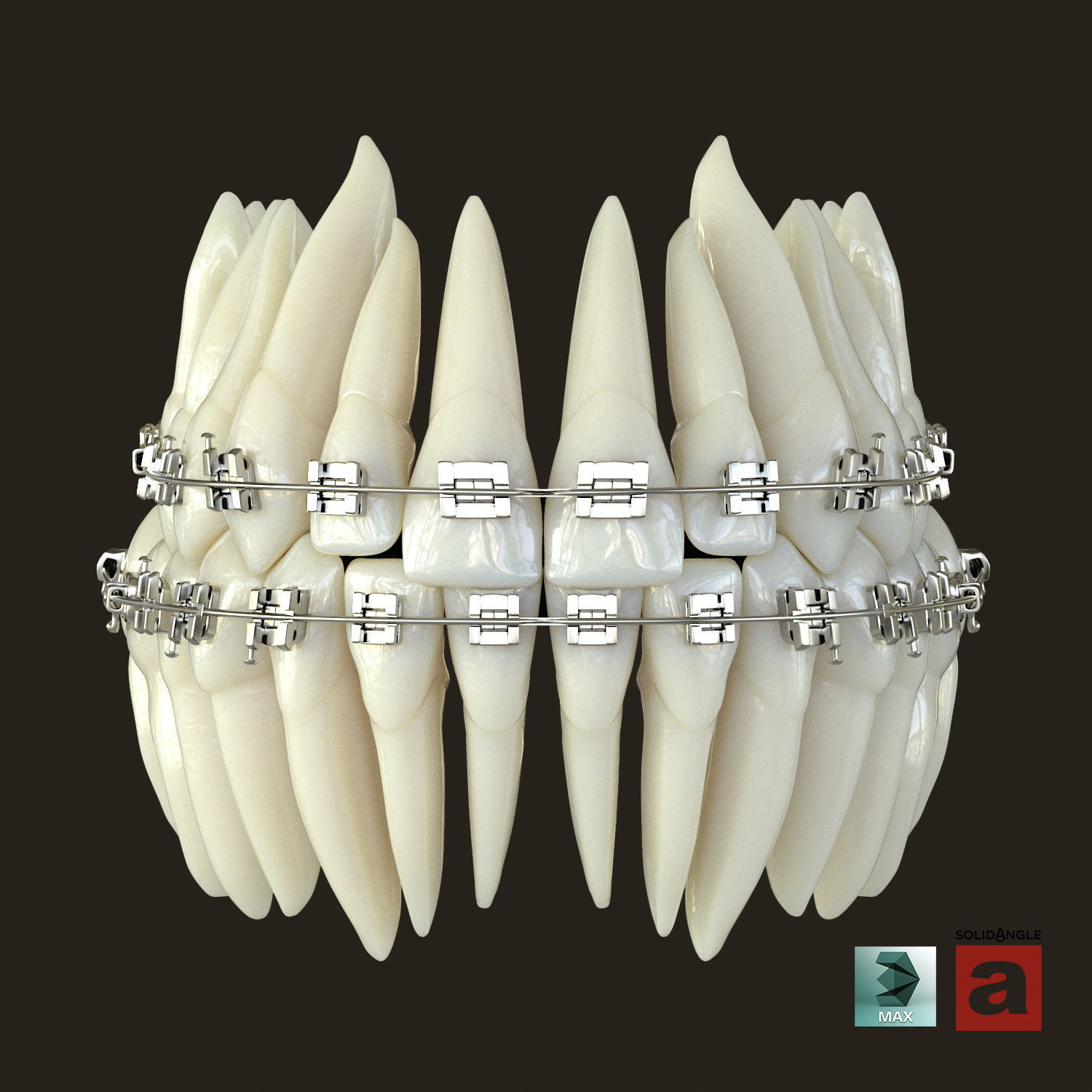 Teeth 3D model_7