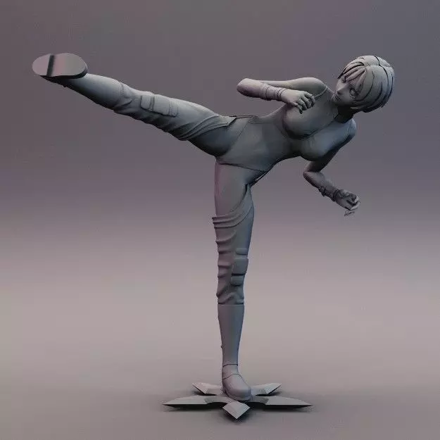 Sexy Anime Ninja Side Kick Pose 3D print model_0