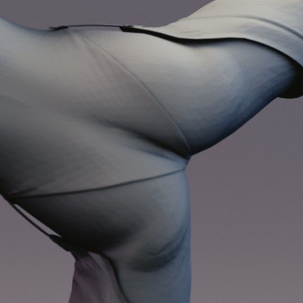 Sexy Anime Ninja Side Kick Pose 3D print model_4