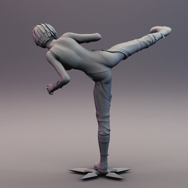 Sexy Anime Ninja Side Kick Pose 3D print model_3