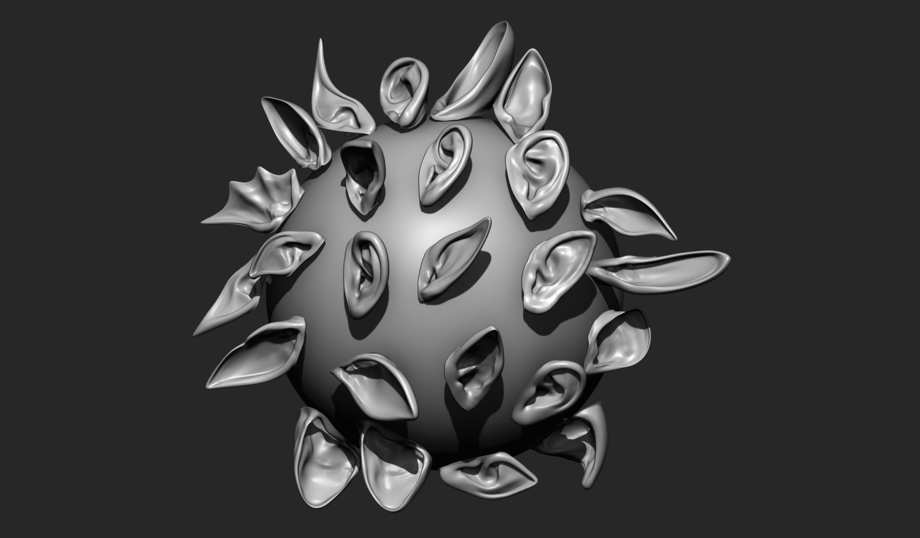 24 Ears plus IMM brush  3D model_1