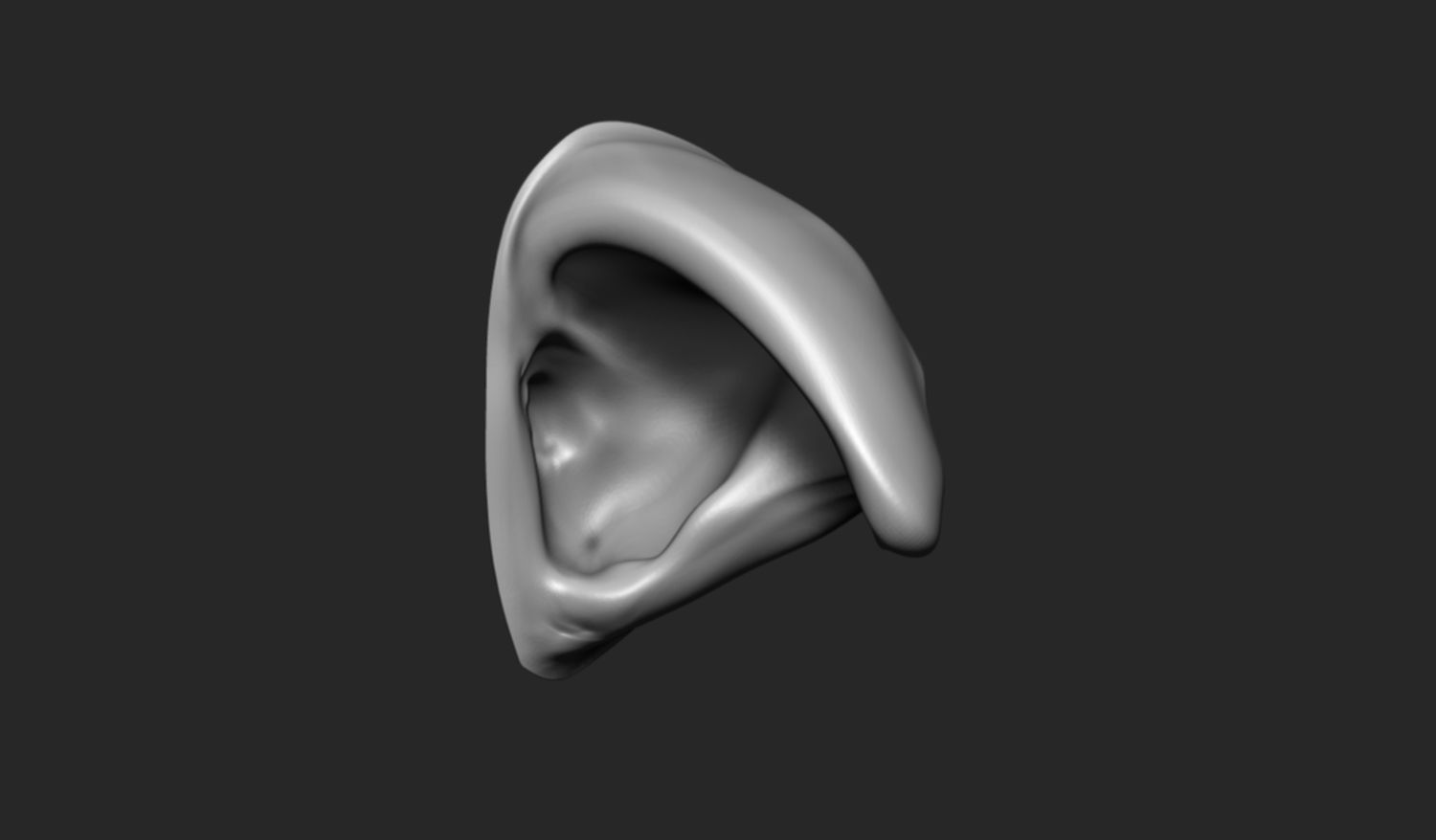 24 Ears plus IMM brush  3D model_23
