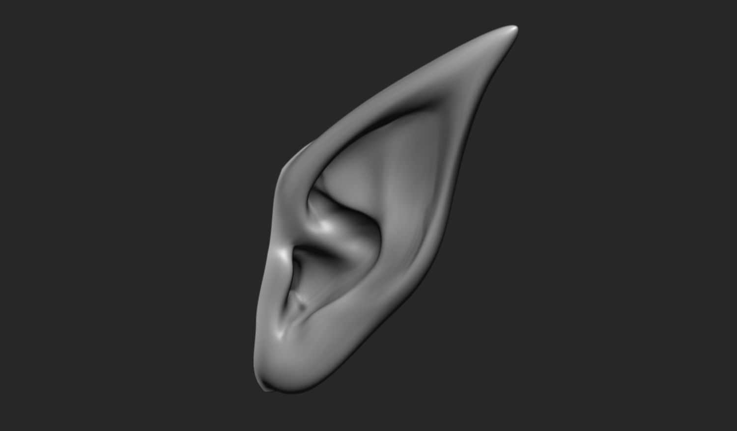 24 Ears plus IMM brush  3D model_26