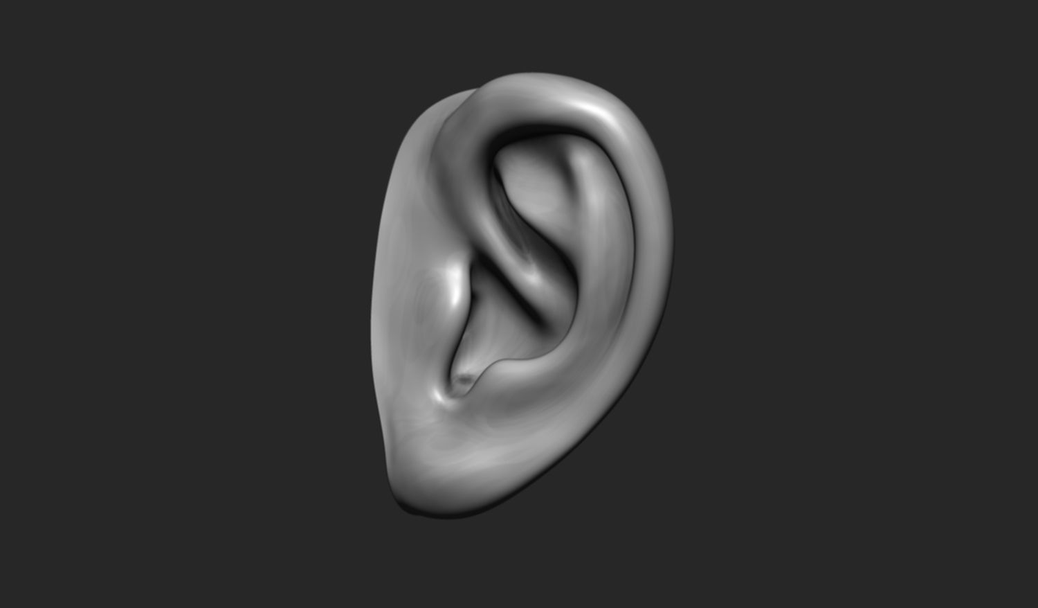 24 Ears plus IMM brush  3D model_3