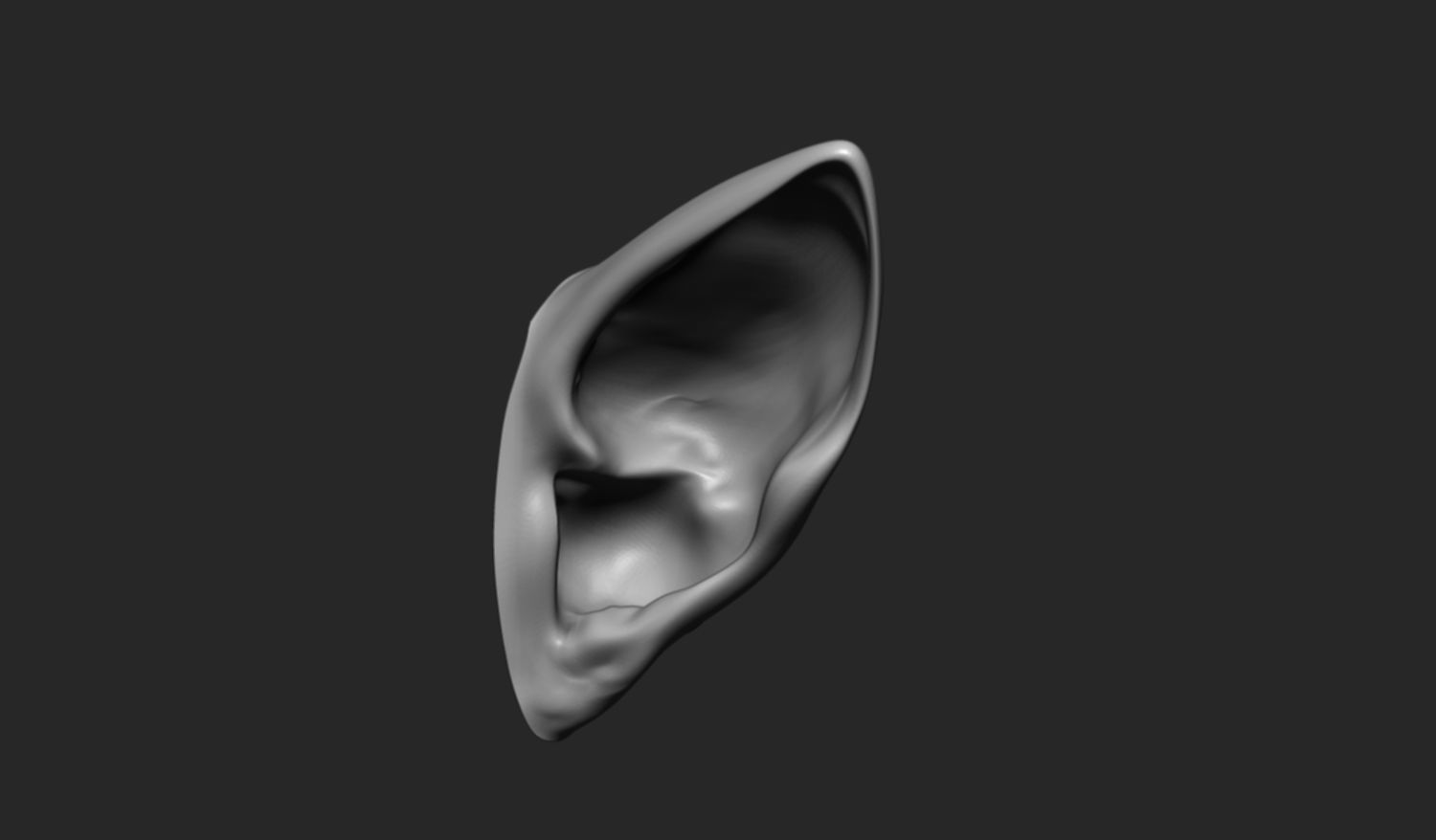 24 Ears plus IMM brush  3D model_13