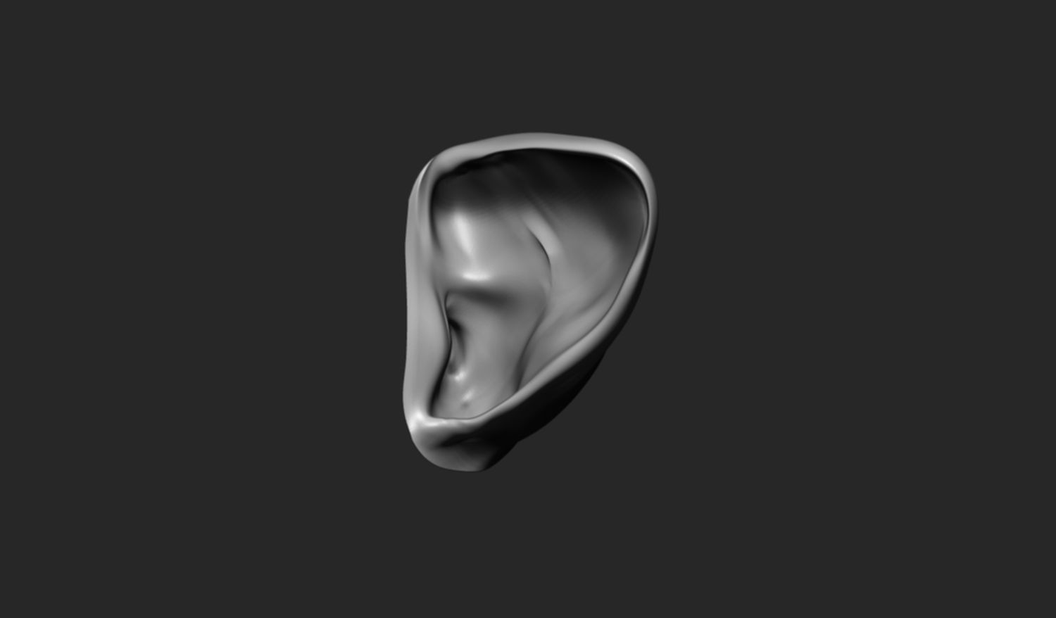 24 Ears plus IMM brush  3D model_22