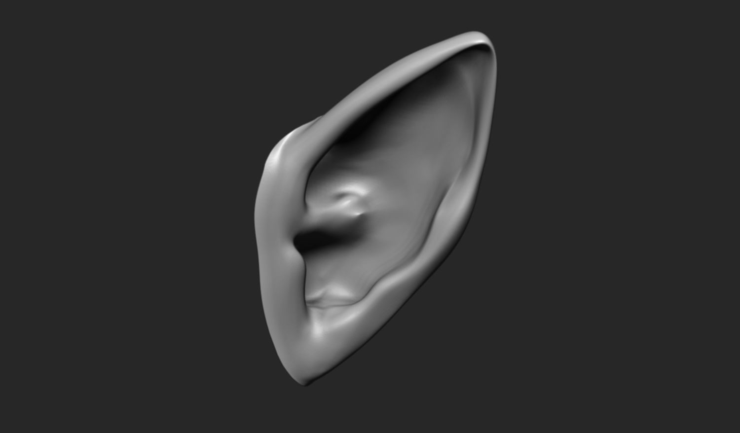 24 Ears plus IMM brush  3D model_12
