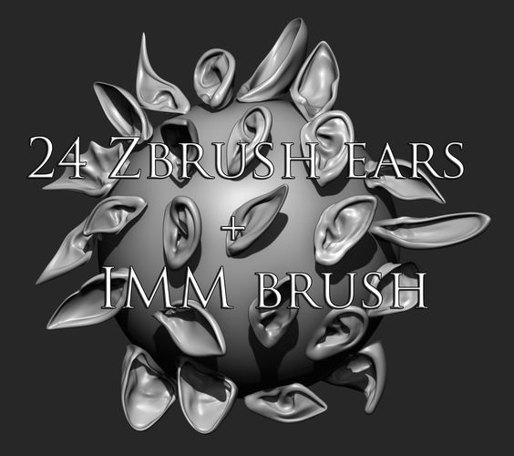 24 Ears plus IMM brush  3D model