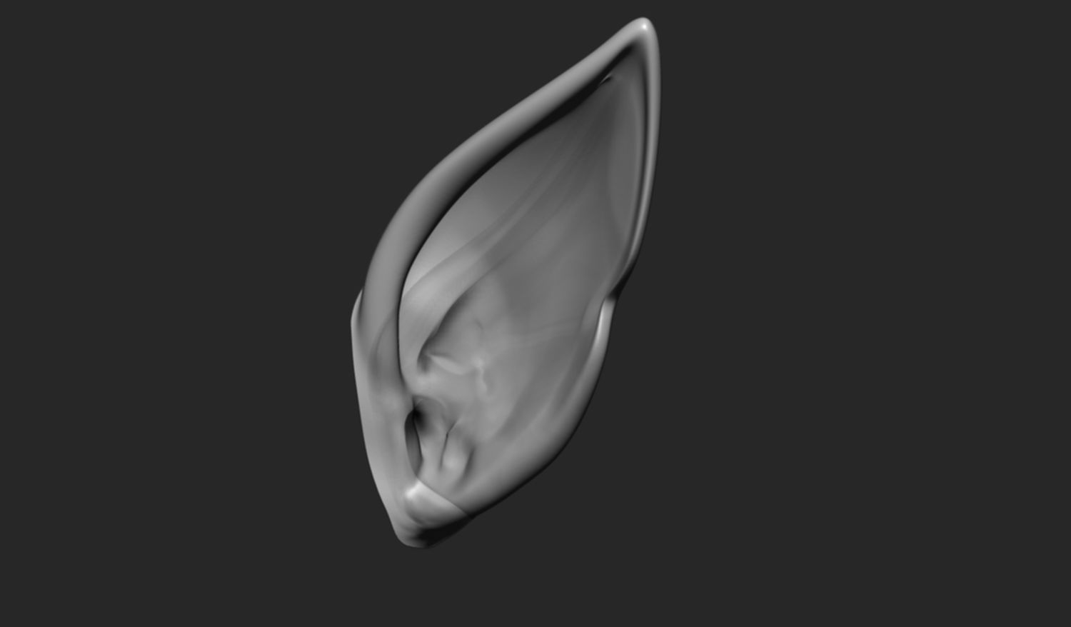 24 Ears plus IMM brush  3D model_21