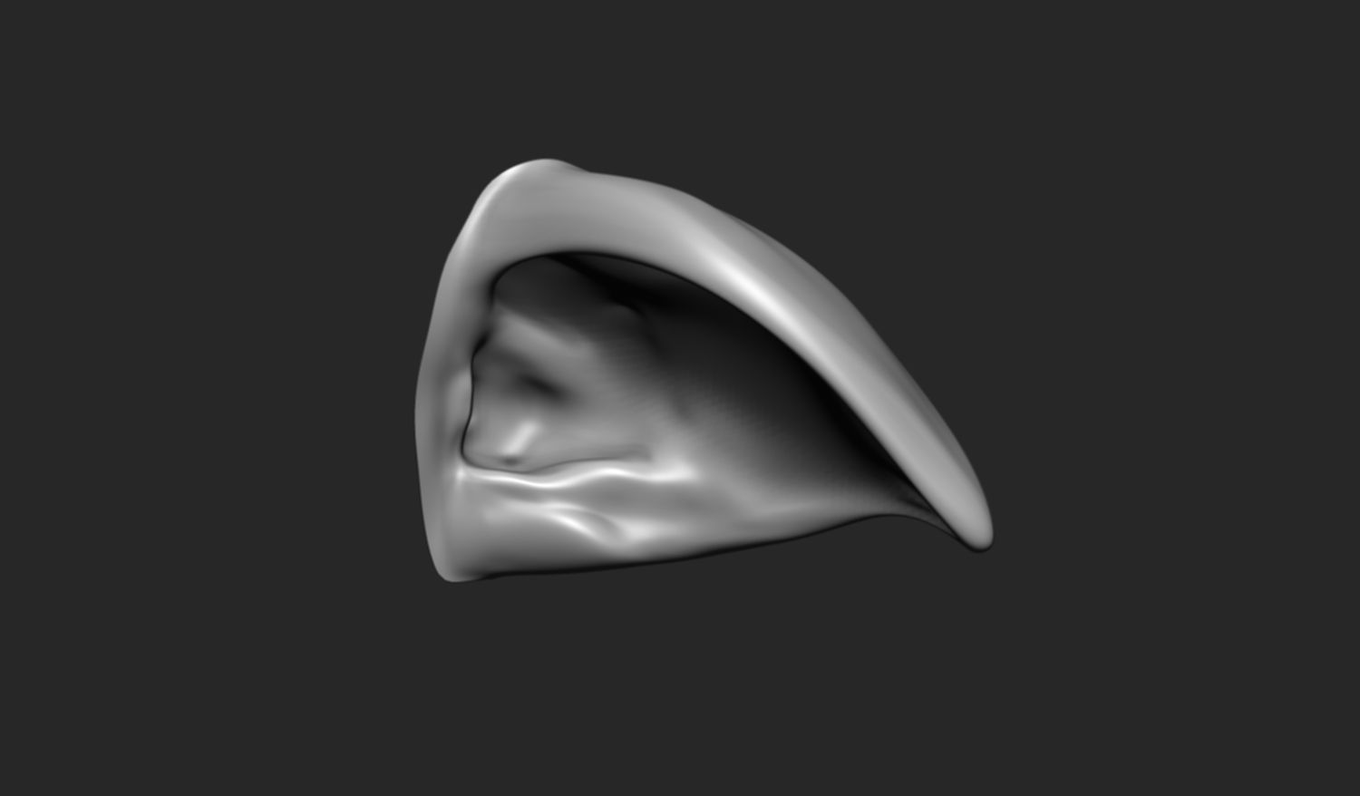 24 Ears plus IMM brush  3D model_8