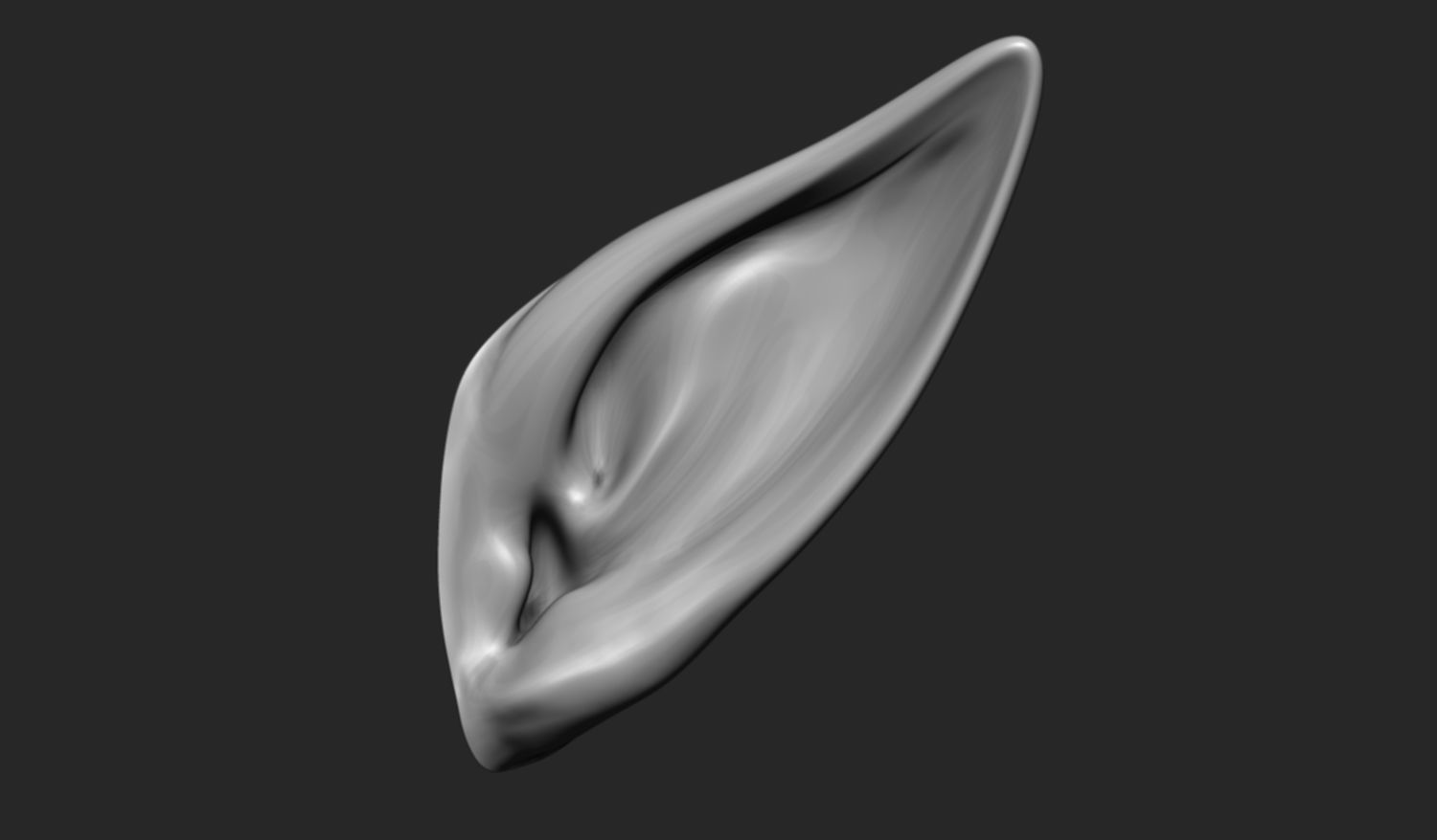 24 Ears plus IMM brush  3D model_5