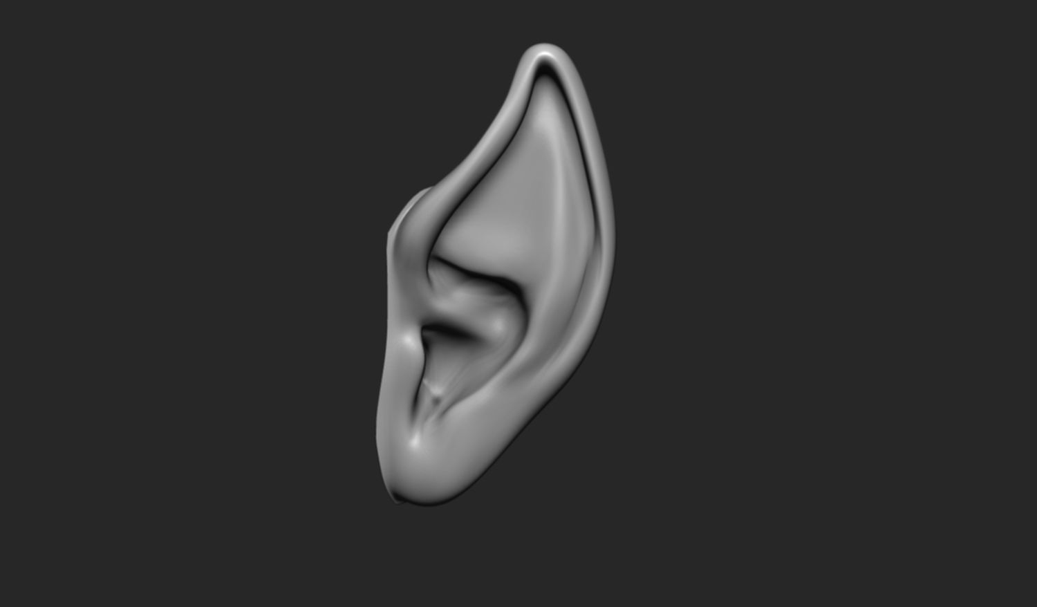 24 Ears plus IMM brush  3D model_17