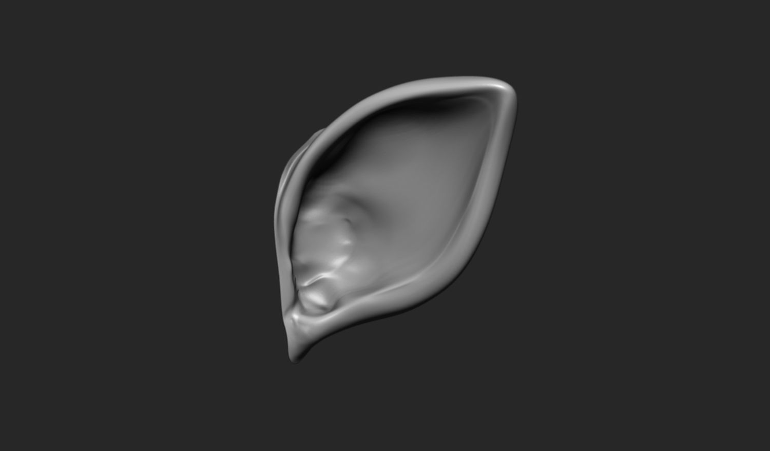 24 Ears plus IMM brush  3D model_16