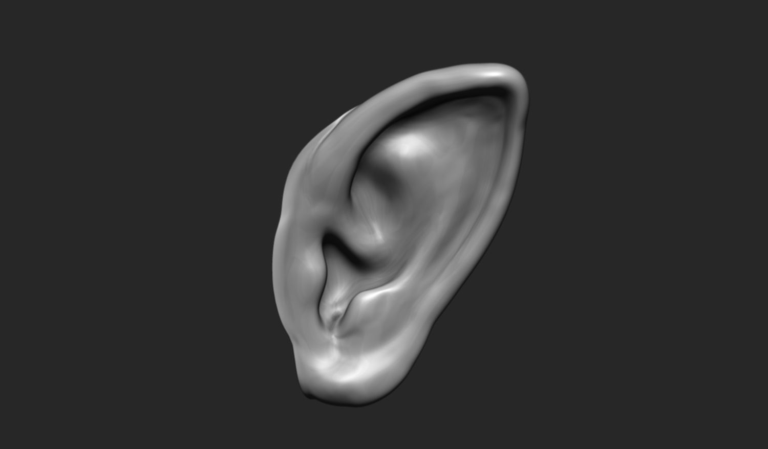 24 Ears plus IMM brush  3D model_4