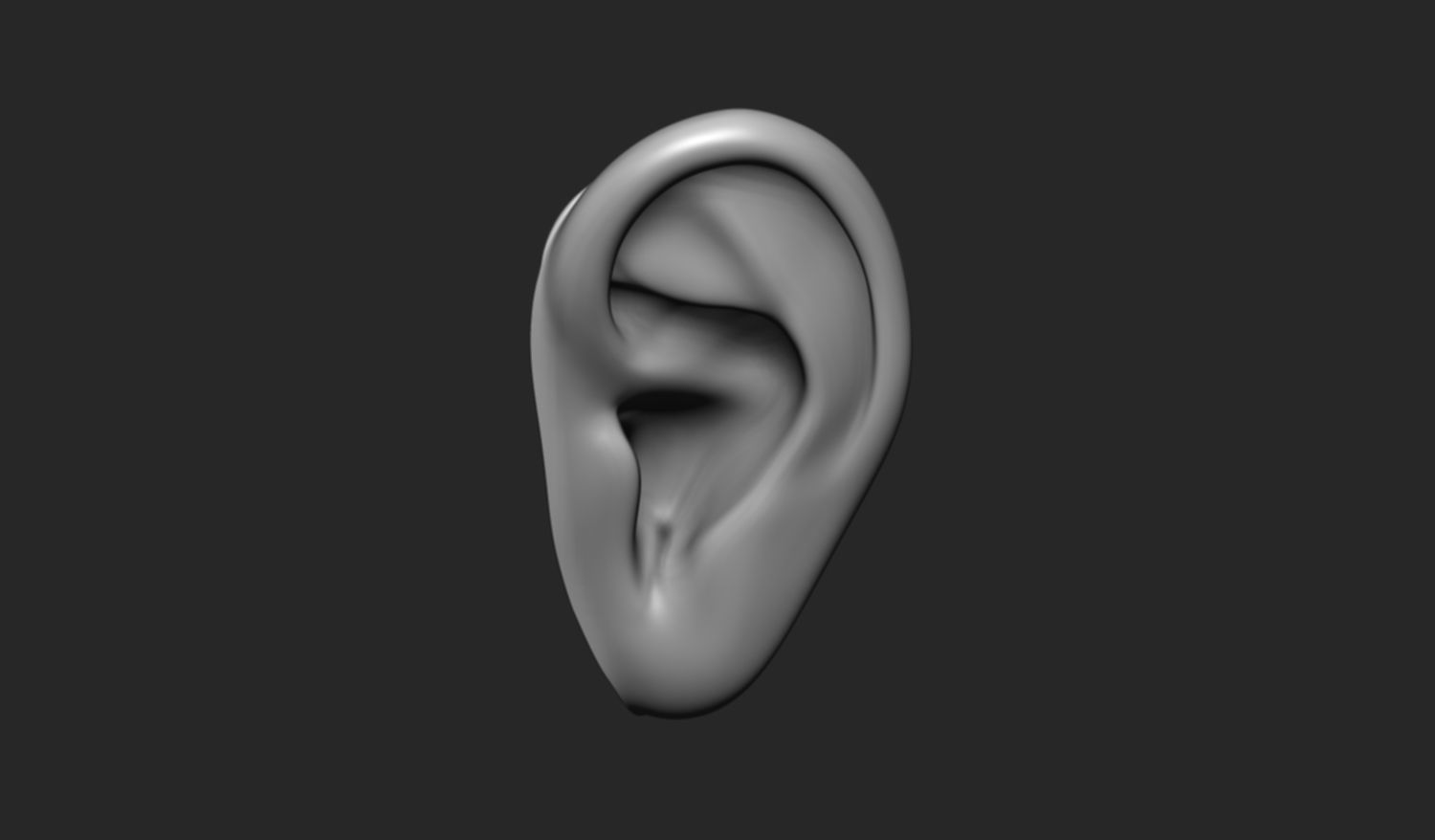 24 Ears plus IMM brush  3D model_11
