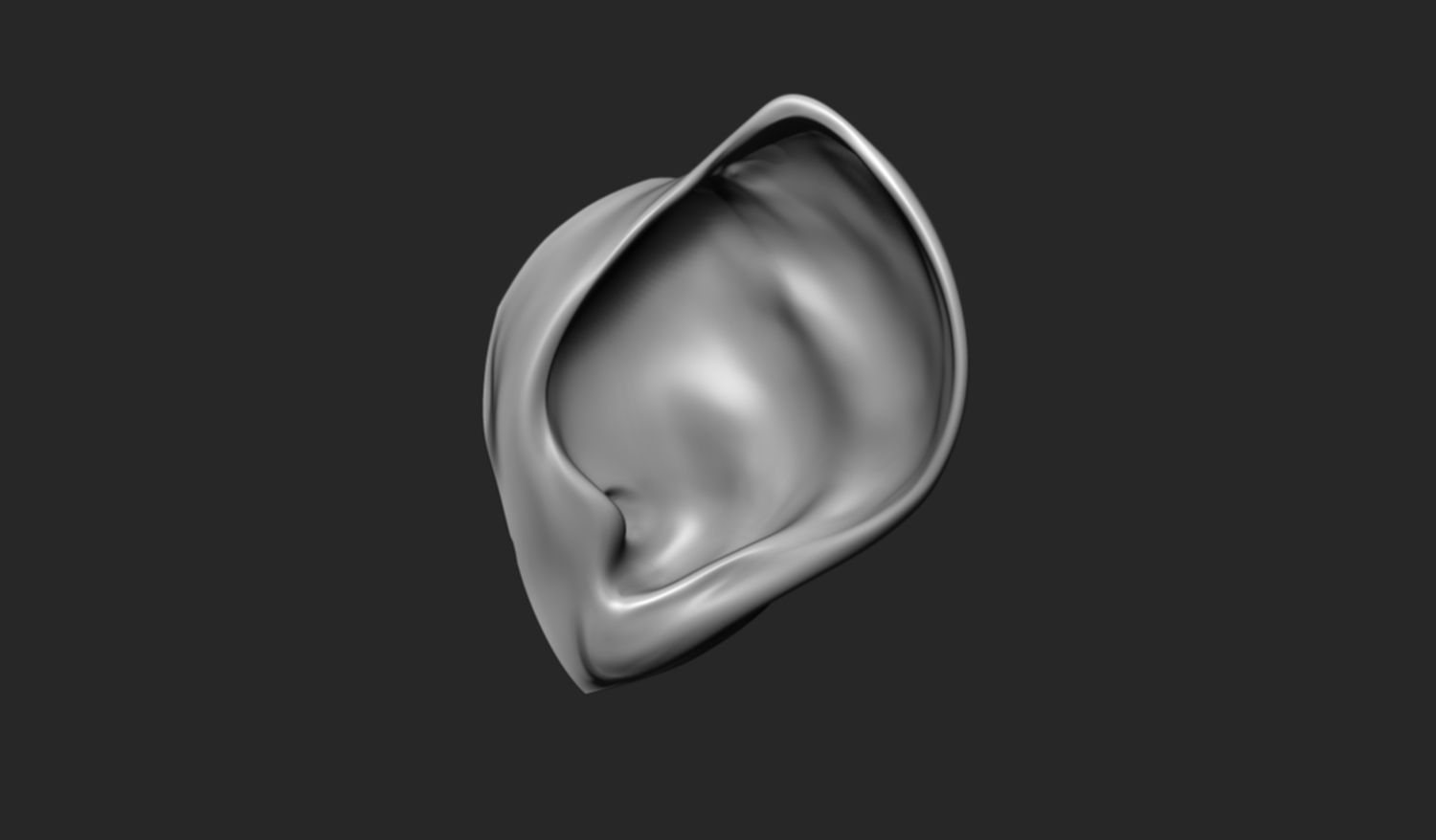 24 Ears plus IMM brush  3D model_10