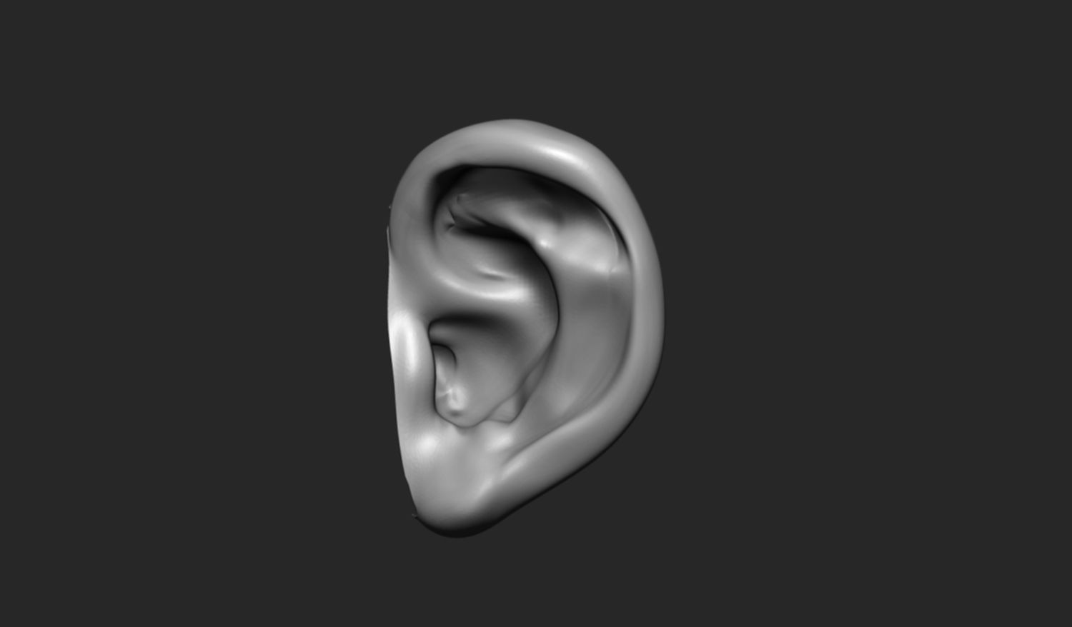 24 Ears plus IMM brush  3D model_14