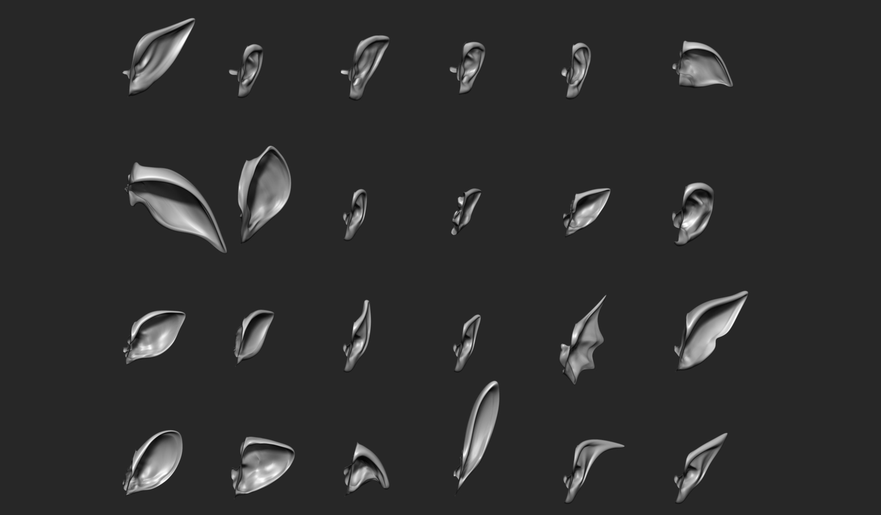 24 Ears plus IMM brush  3D model_2