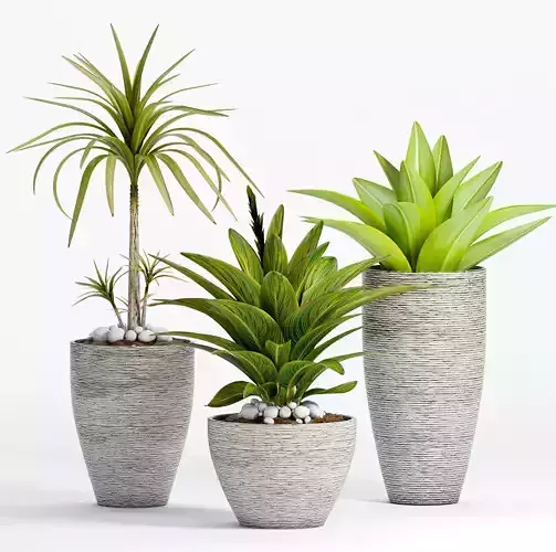  Decorative plant set-7