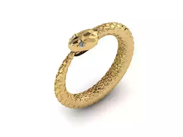 Ring R0500