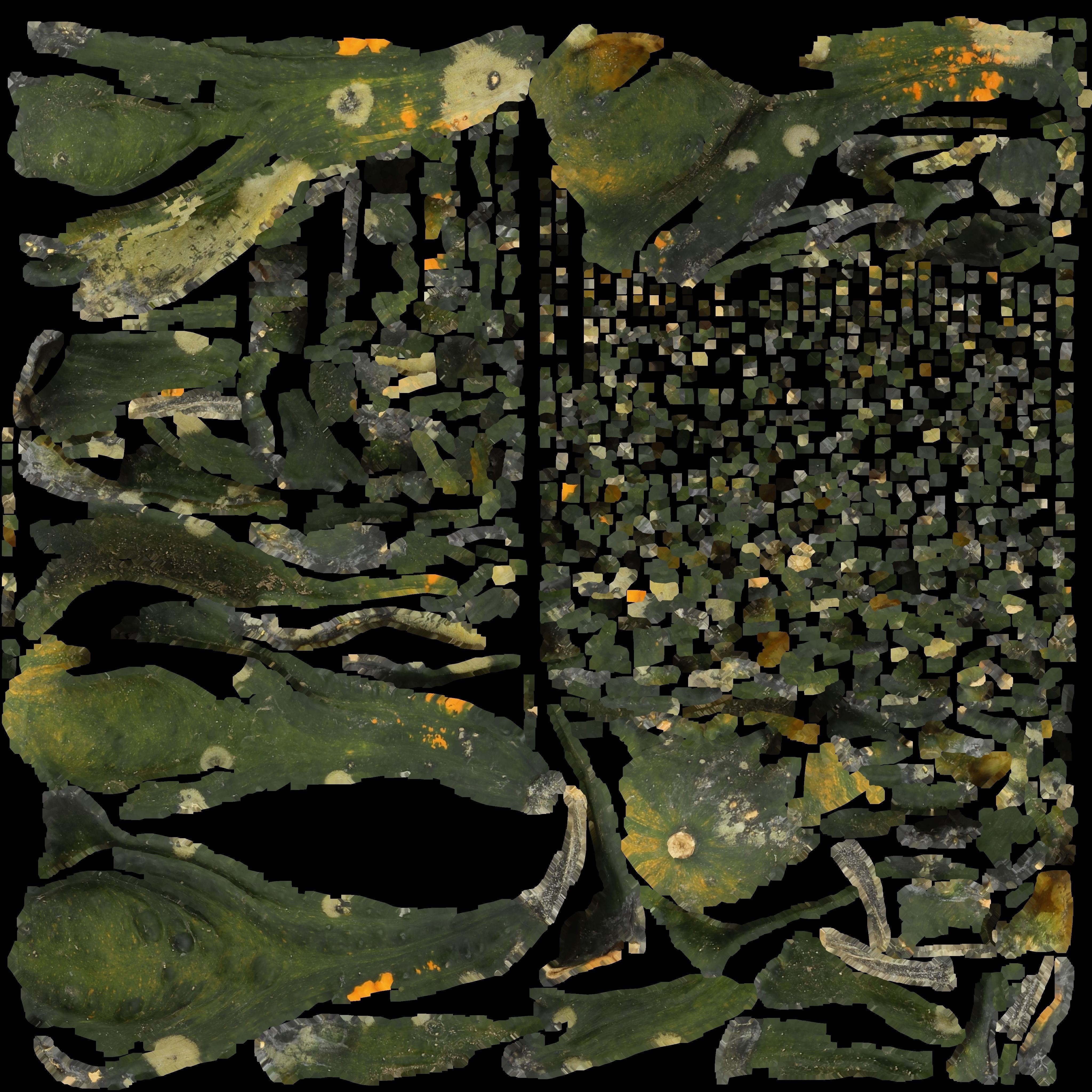 decoration pumpkin green with photogrammetry Free low-poly 3D model_5