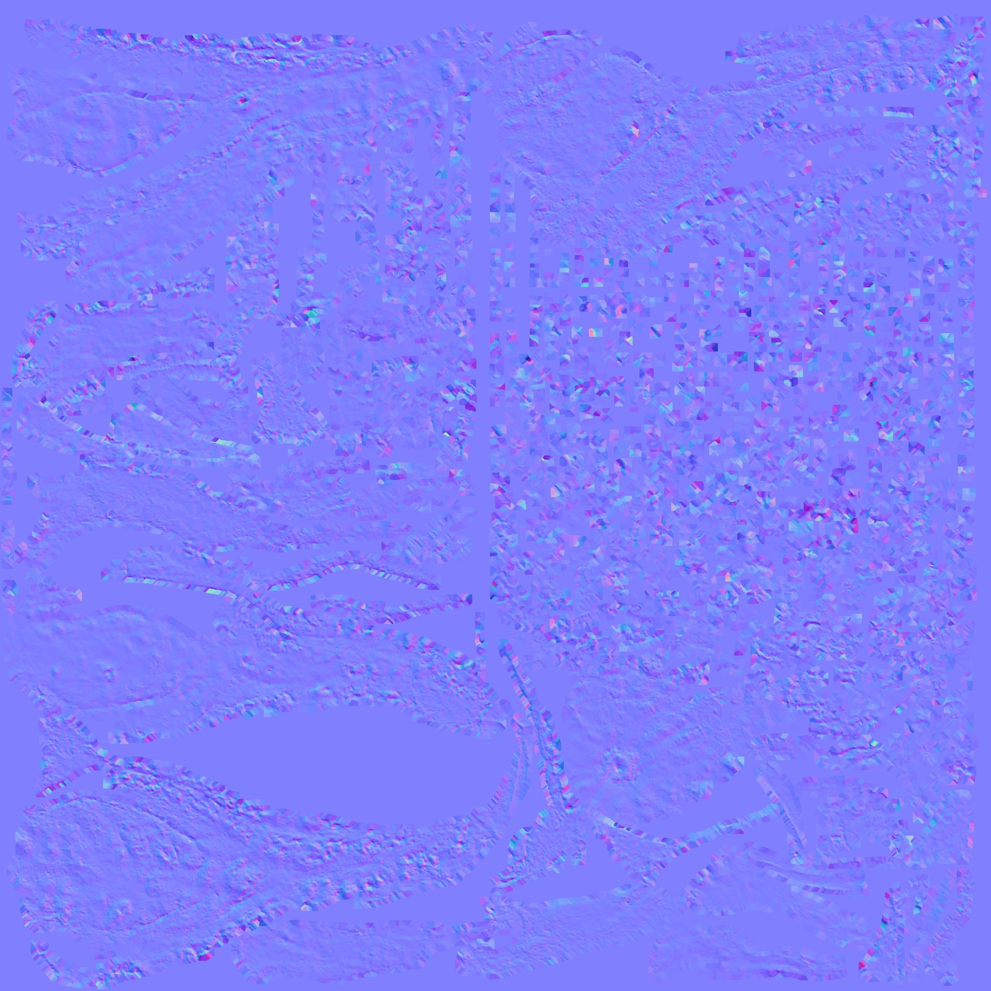 decoration pumpkin green with photogrammetry Free low-poly 3D model_6