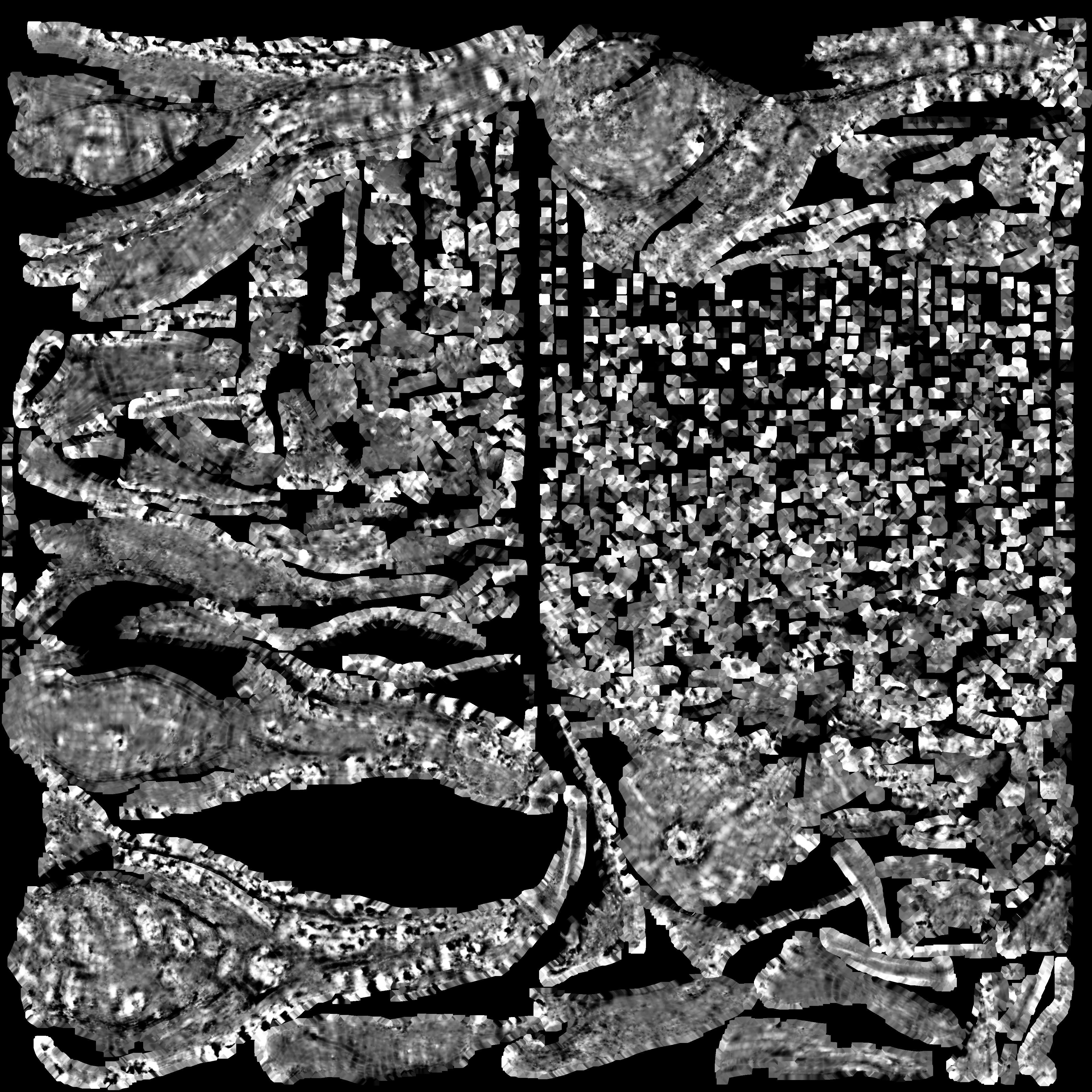 decoration pumpkin green with photogrammetry Free low-poly 3D model_8