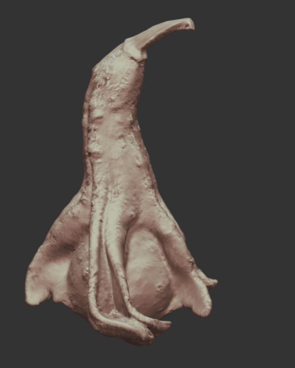 decoration pumpkin green with photogrammetry Free low-poly 3D model_4