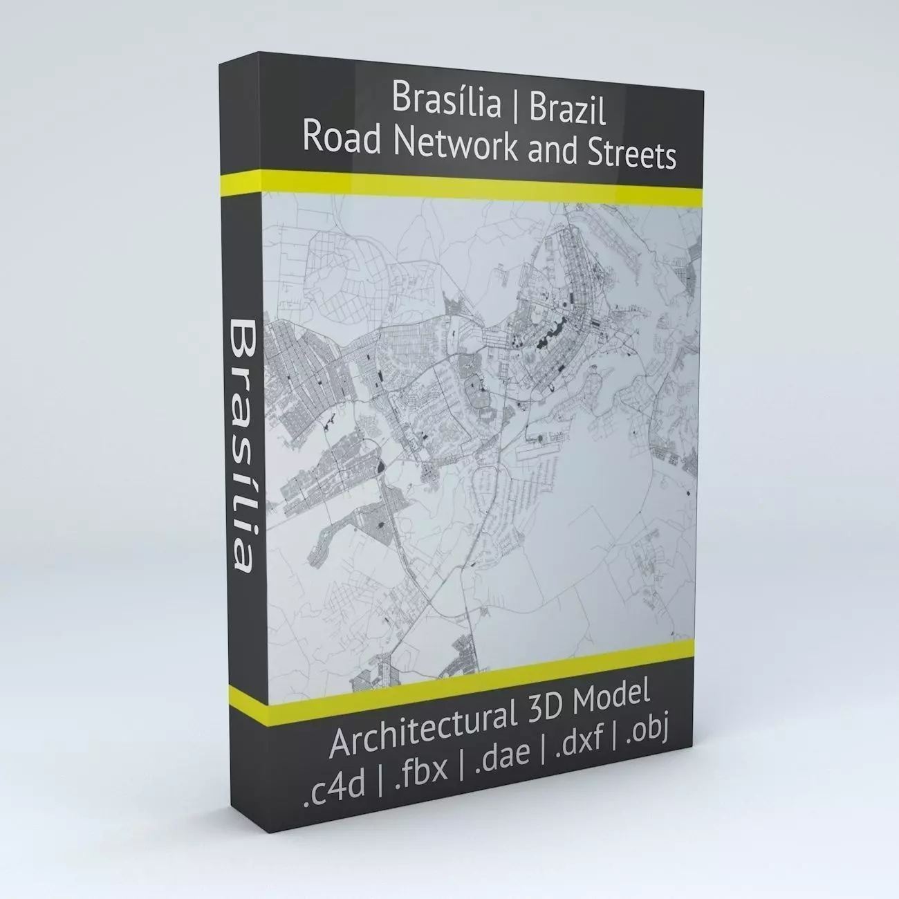 Brasilia Road Network and Streets 3D model_0