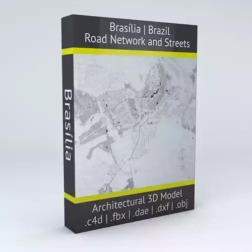 Brasilia Road Network and Streets 3D model