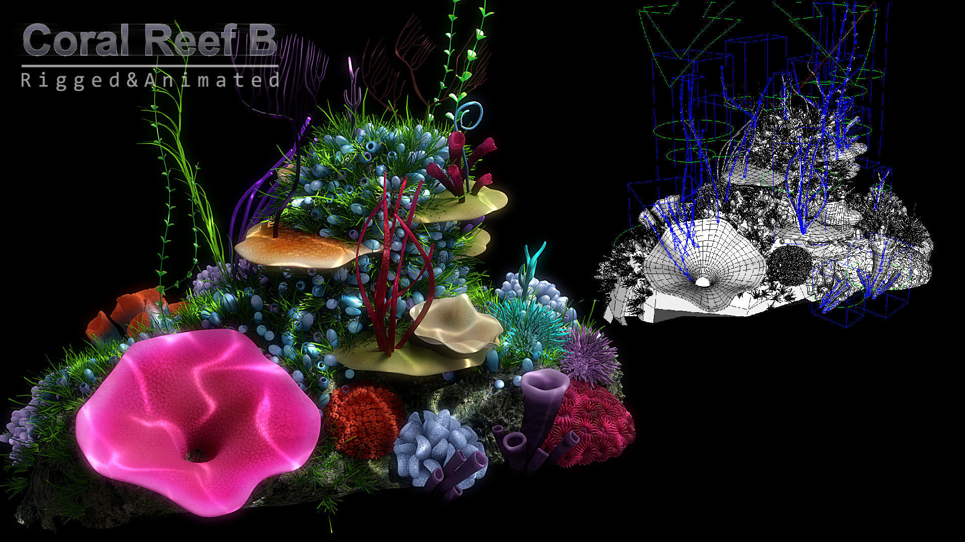 Cartoon Underwater Scene Rigged Animated Maya 3D model_6