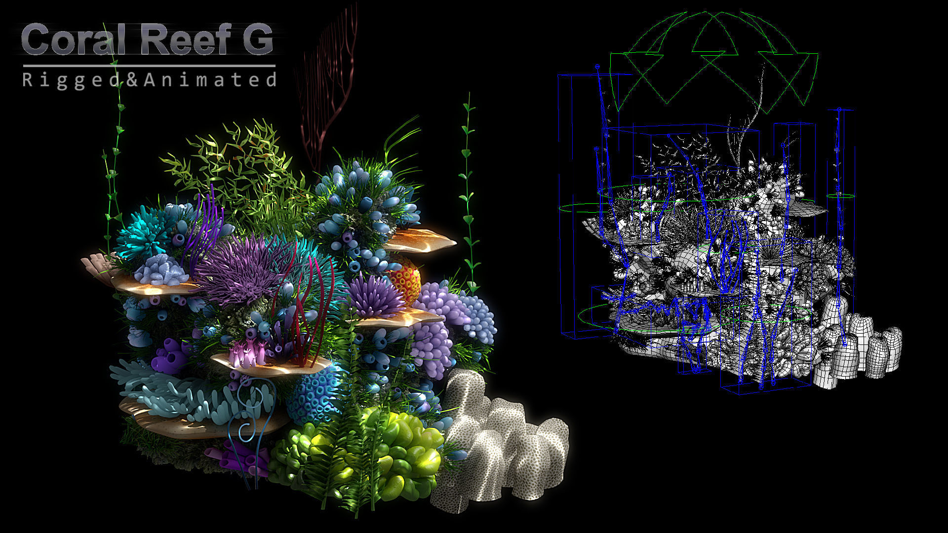 Cartoon Underwater Scene Rigged Animated Maya 3D model_11