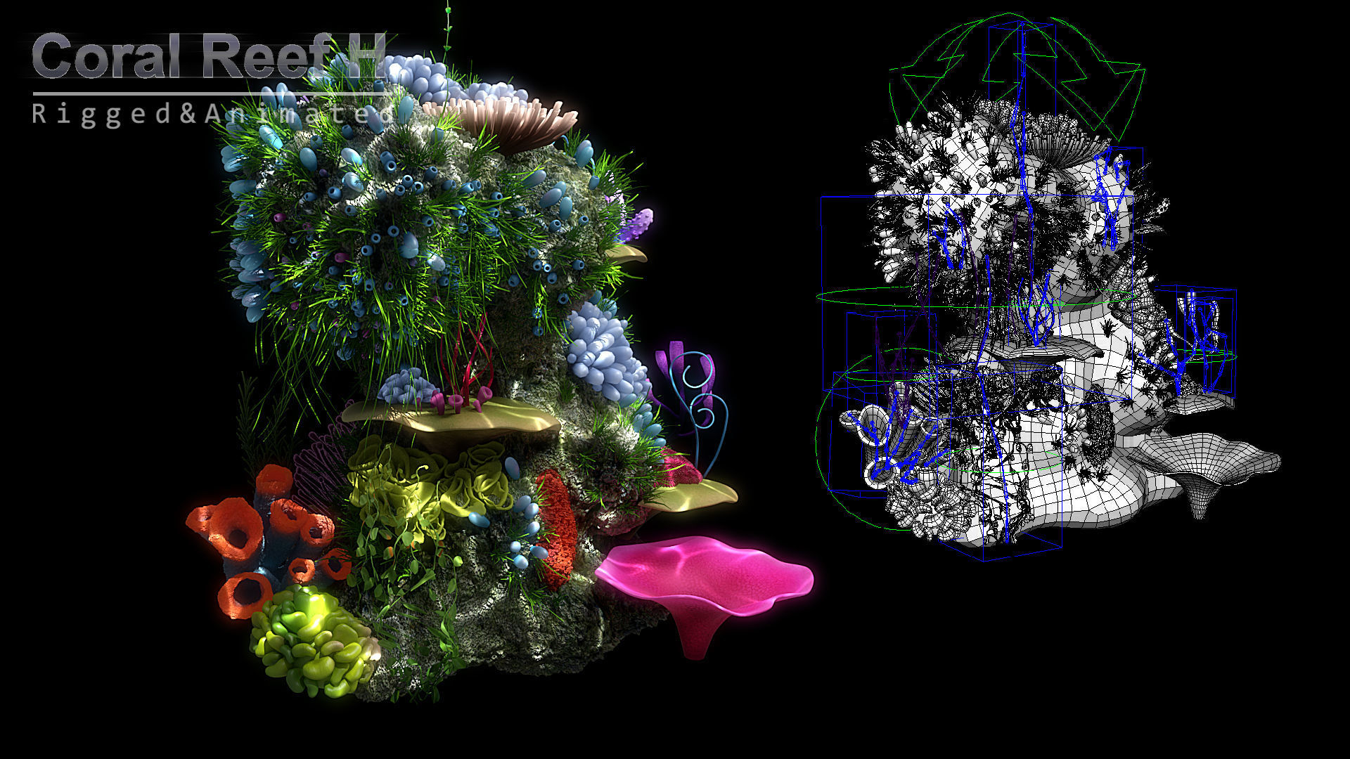 Cartoon Underwater Scene Rigged Animated Maya 3D model_12