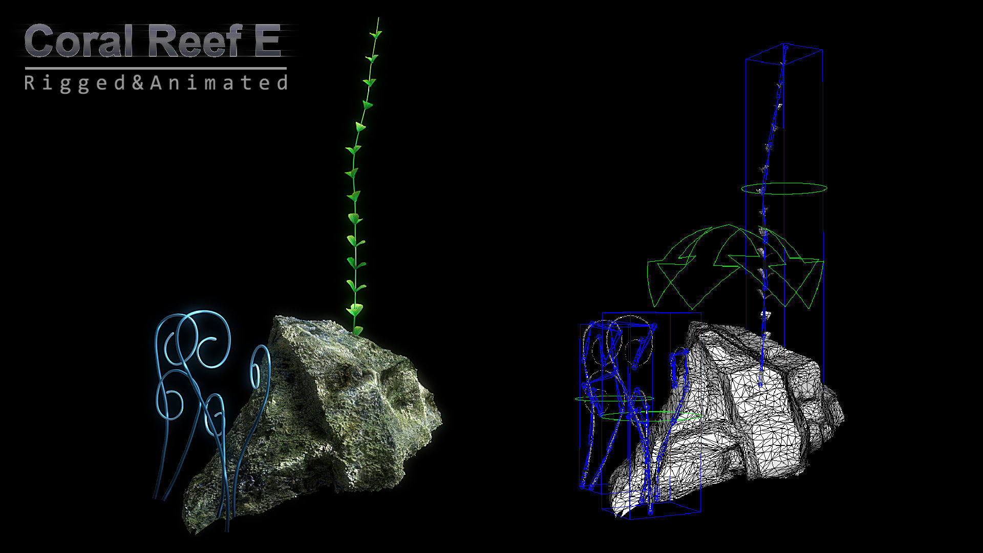 Cartoon Underwater Scene Rigged Animated Maya 3D model_9